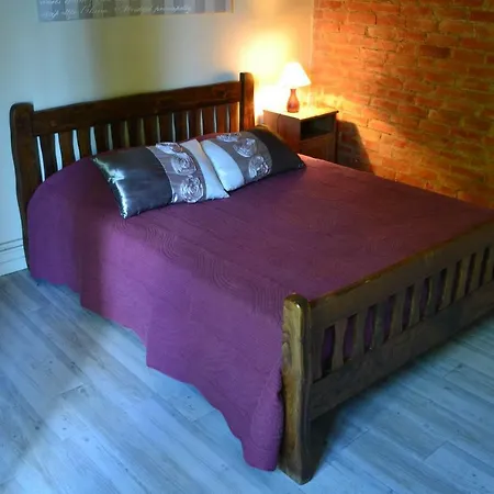Logis De La Contreche Tatil Evi Bellevigne-en-Layon